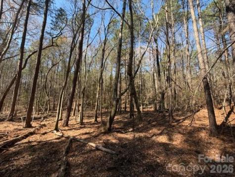 12.68 Acre 99 Road Blair SC 29015