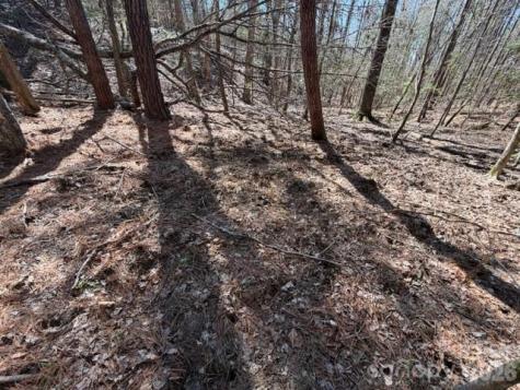 12.68 Acre 99 Road Blair SC 29015