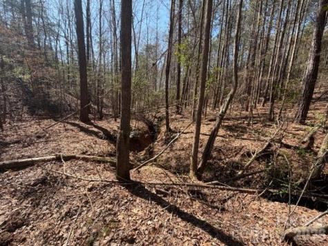 12.68 Acre 99 Road Blair SC 29015