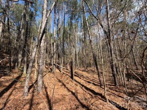 12.68 Acre 99 Road Blair SC 29015
