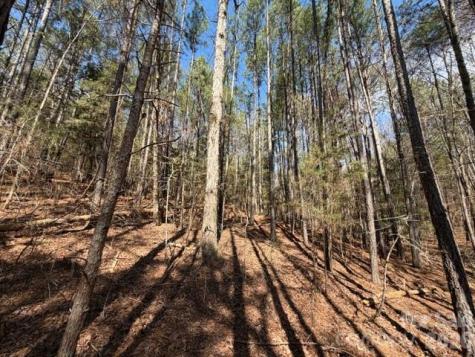 12.68 Acre 99 Road Blair SC 29015