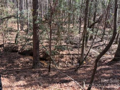 12.68 Acre 99 Road Blair SC 29015