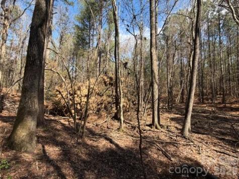 12.68 Acre 99 Road Blair SC 29015