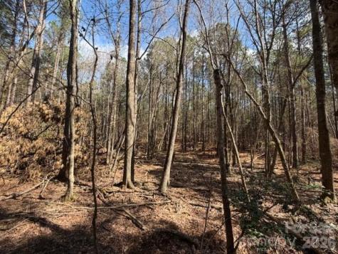 12.68 Acre 99 Road Blair SC 29015