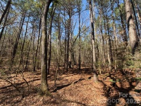 12.68 Acre 99 Road Blair SC 29015