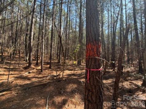 12.68 Acre 99 Road Blair SC 29015