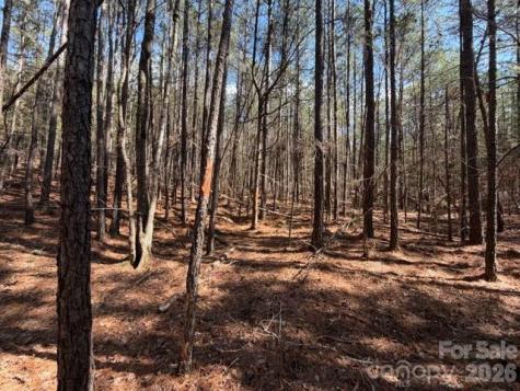 12.68 Acre 99 Road Blair SC 29015