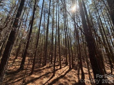 12.68 Acre 99 Road Blair SC 29015