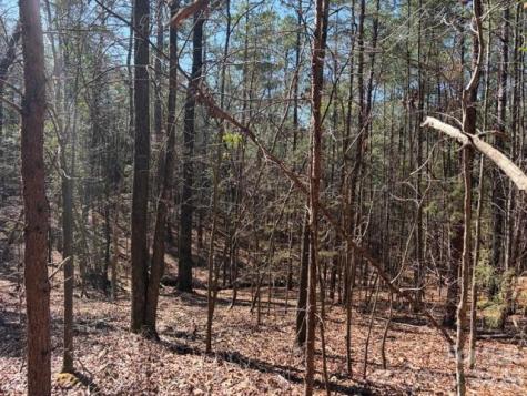 12.68 Acre 99 Road Blair SC 29015