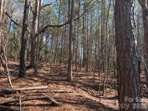 12.68 Acre 99 Road Blair SC 29015