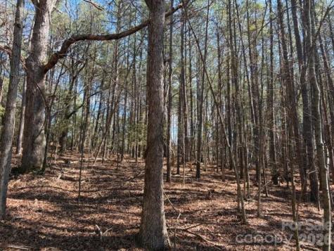 12.68 Acre 99 Road Blair SC 29015