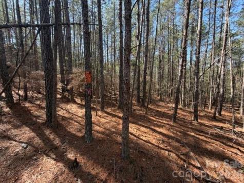 12.68 Acre 99 Road Blair SC 29015