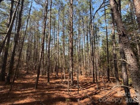 12.68 Acre 99 Road Blair SC 29015