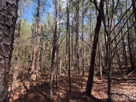 12.68 Acre 99 Road Blair SC 29015