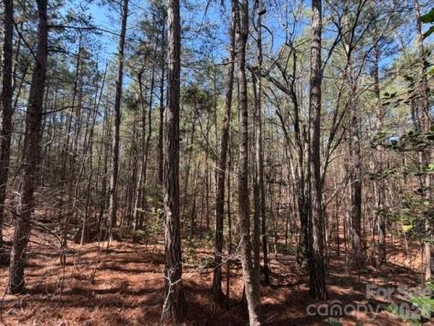 12.68 Acre 99 Road Blair SC 29015