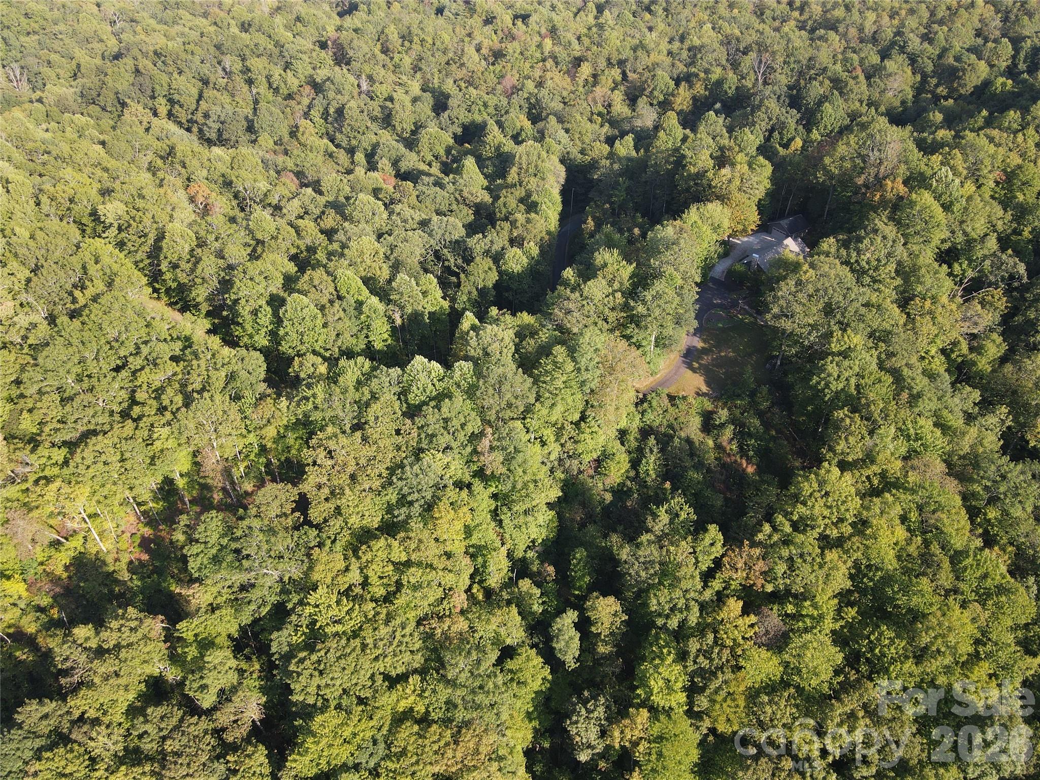 303 Ladd Ridge Rosman NC 28772