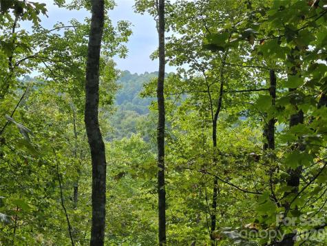 303 Ladd Ridge Rosman NC 28772