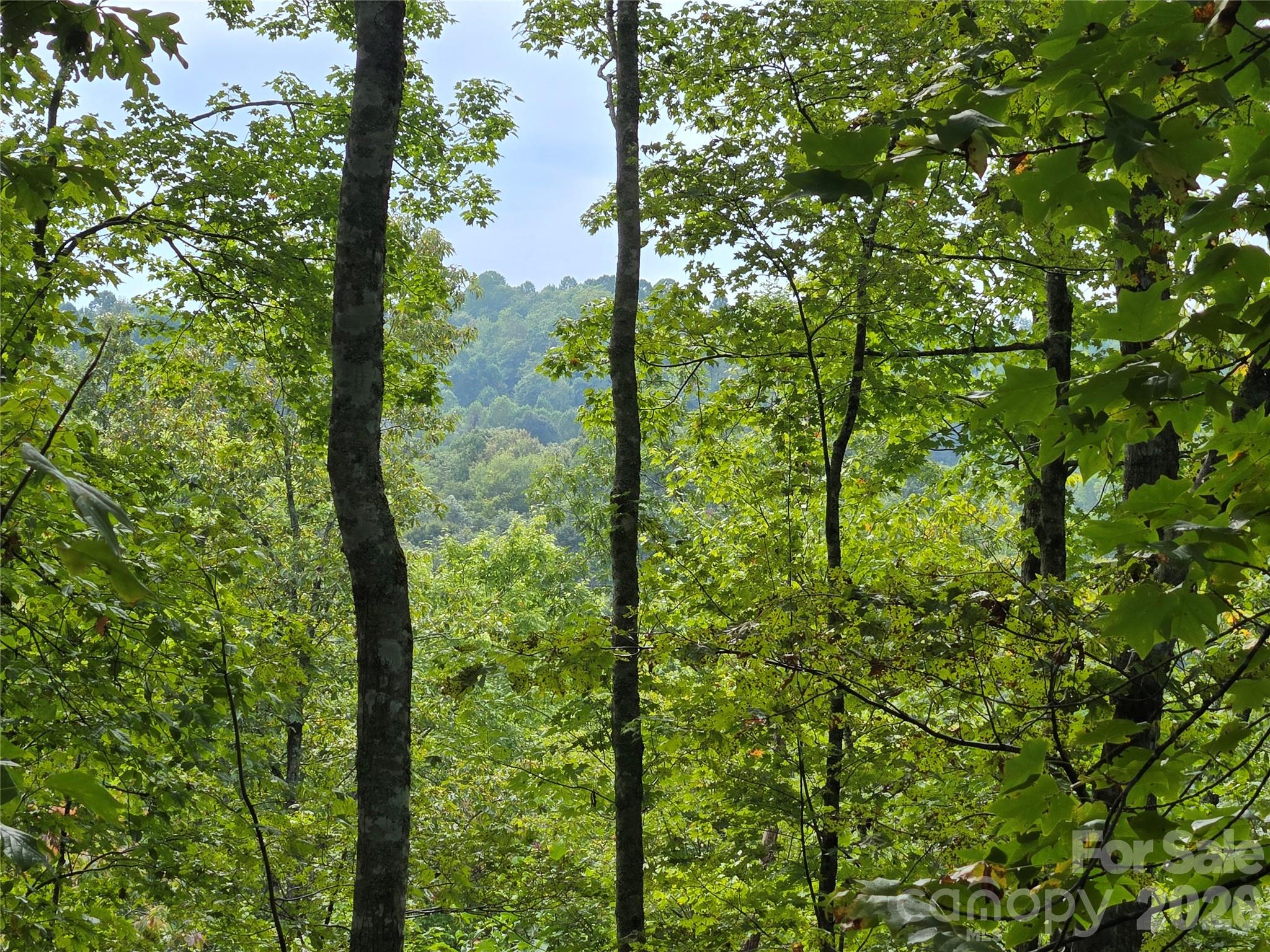 303 Ladd Ridge Rosman NC 28772