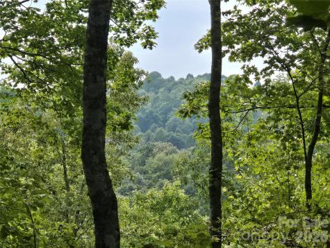303 Ladd Ridge Rosman NC 28772