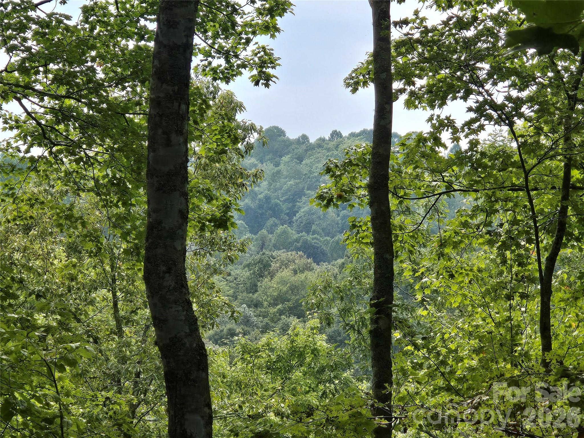 303 Ladd Ridge Rosman NC 28772
