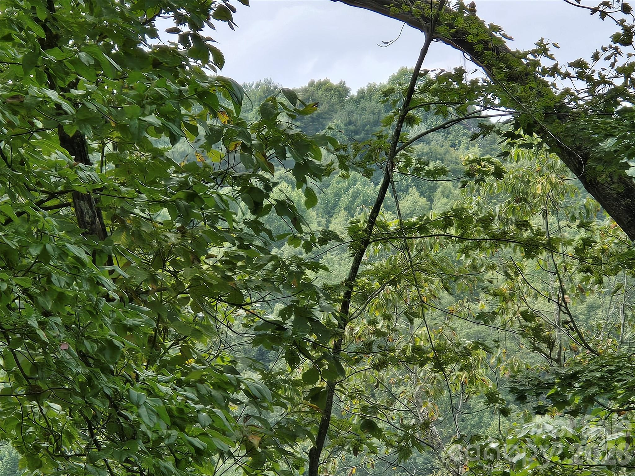 303 Ladd Ridge Rosman NC 28772