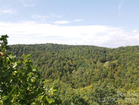 303 Ladd Ridge Rosman NC 28772