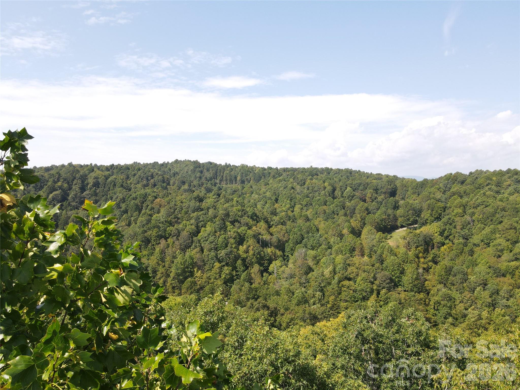 303 Ladd Ridge Rosman NC 28772