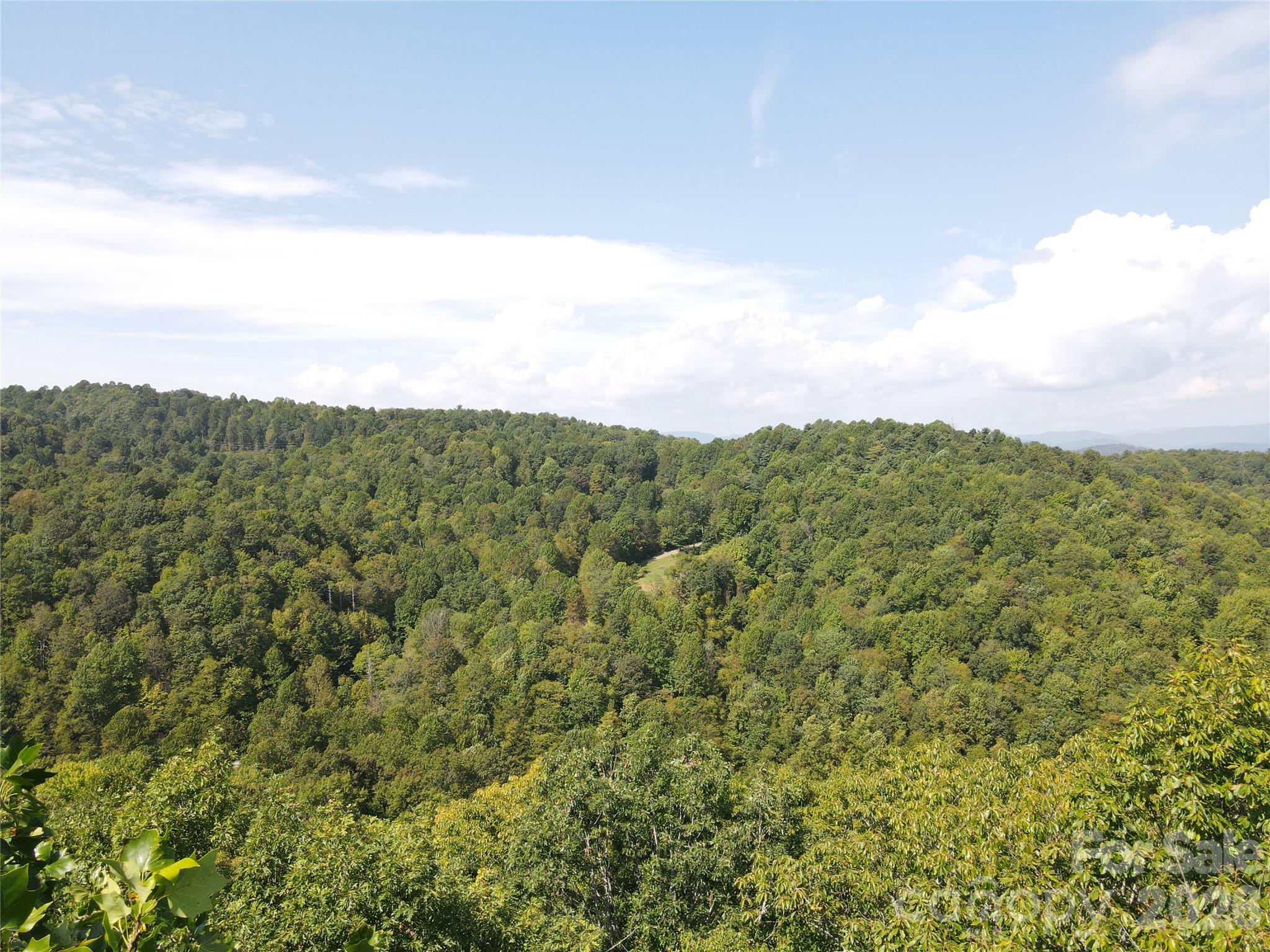 303 Ladd Ridge Rosman NC 28772