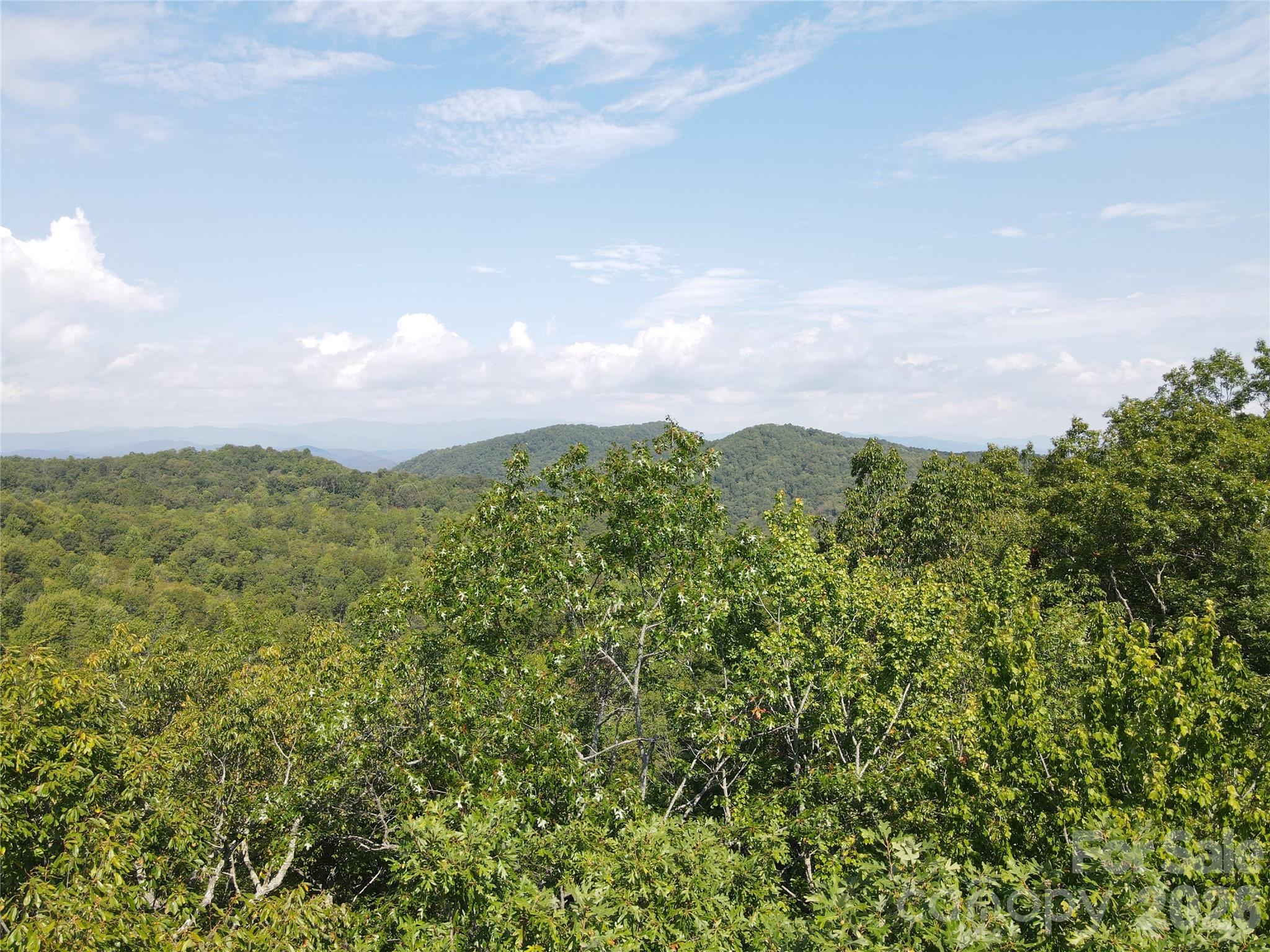 303 Ladd Ridge Rosman NC 28772