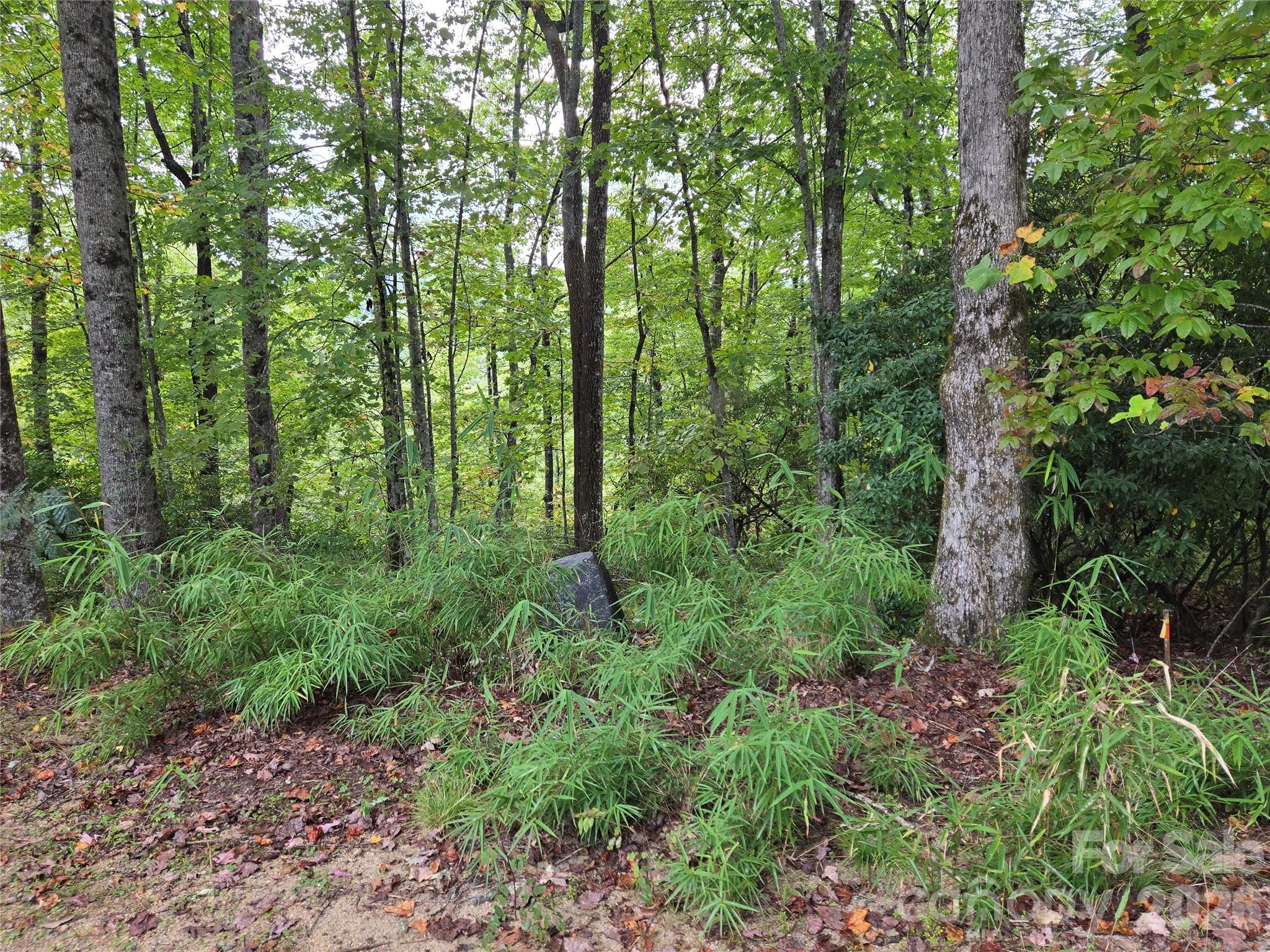 303 Ladd Ridge Rosman NC 28772