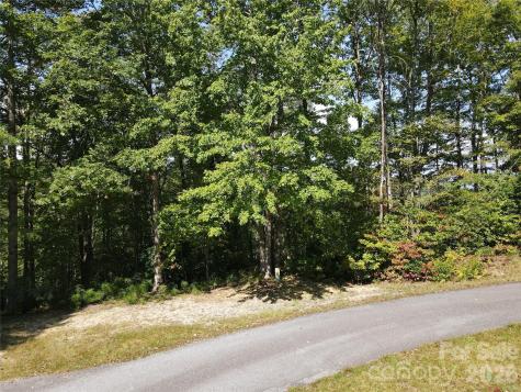 303 Ladd Ridge Rosman NC 28772