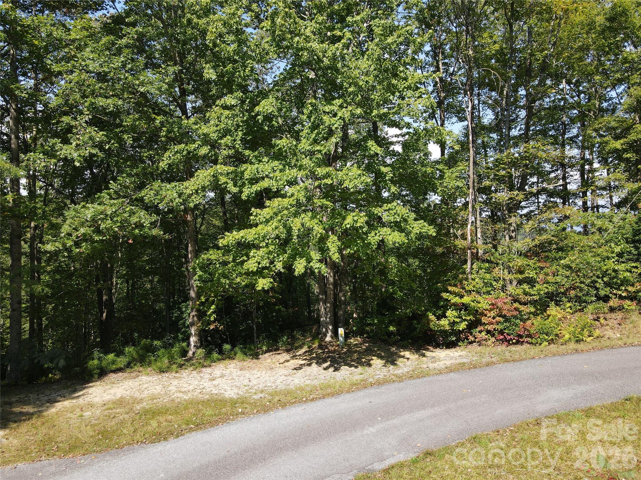 303 Ladd Ridge Rosman NC 28772