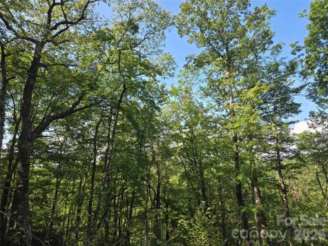 303 Ladd Ridge Rosman NC 28772