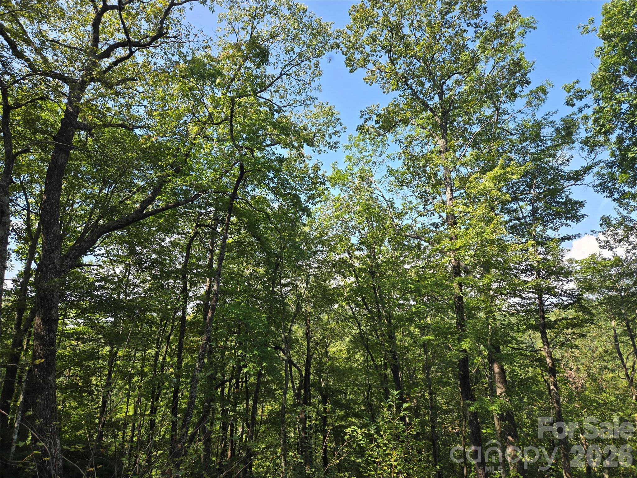 303 Ladd Ridge Rosman NC 28772