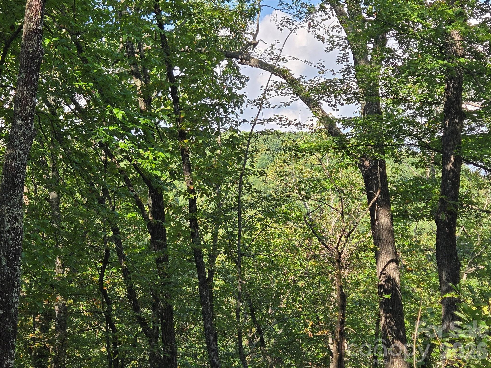 303 Ladd Ridge Rosman NC 28772