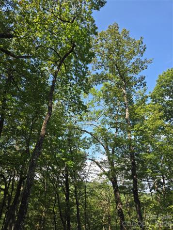 303 Ladd Ridge Rosman NC 28772