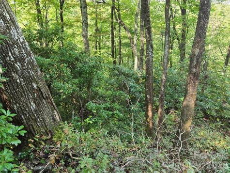 303 Ladd Ridge Rosman NC 28772