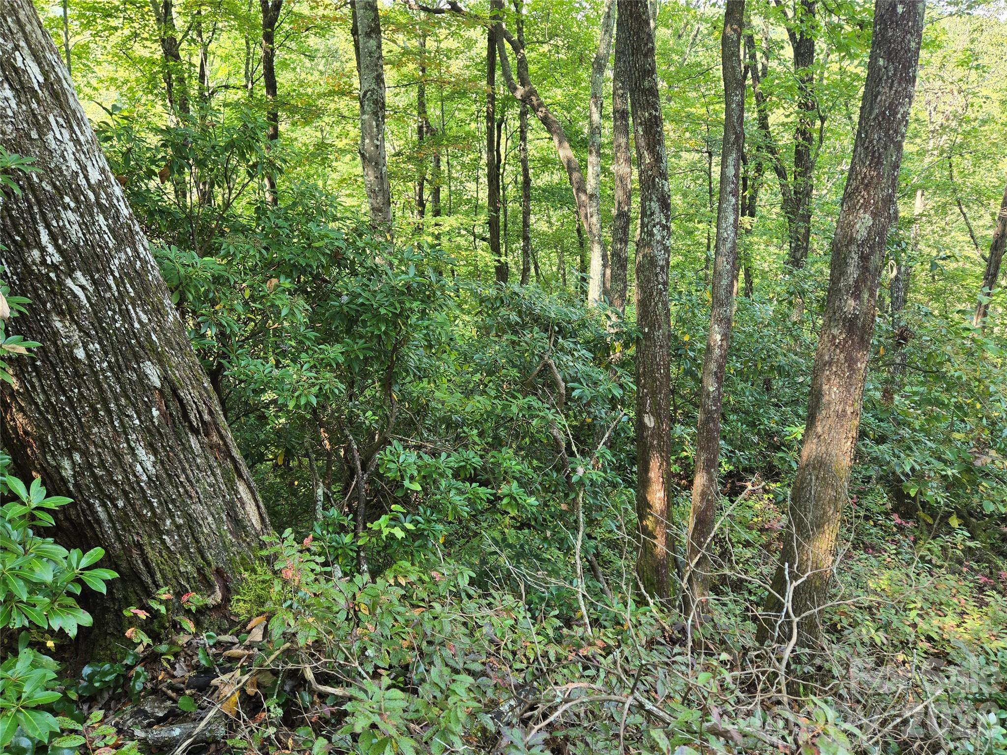 303 Ladd Ridge Rosman NC 28772