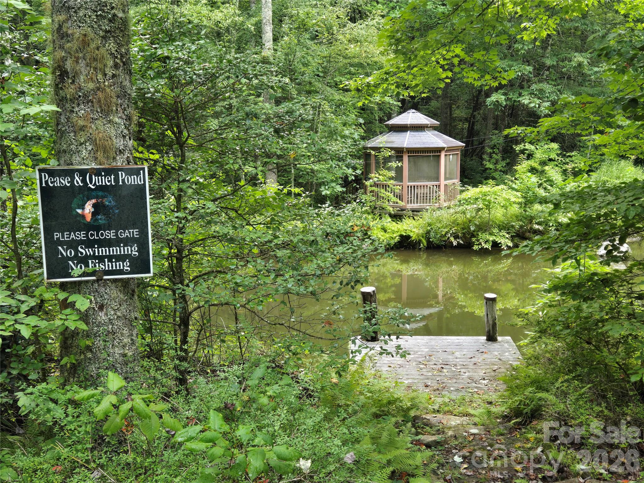 303 Ladd Ridge Rosman NC 28772