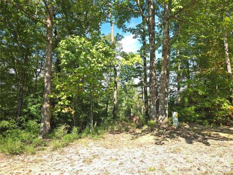 303 Ladd Ridge Rosman NC 28772