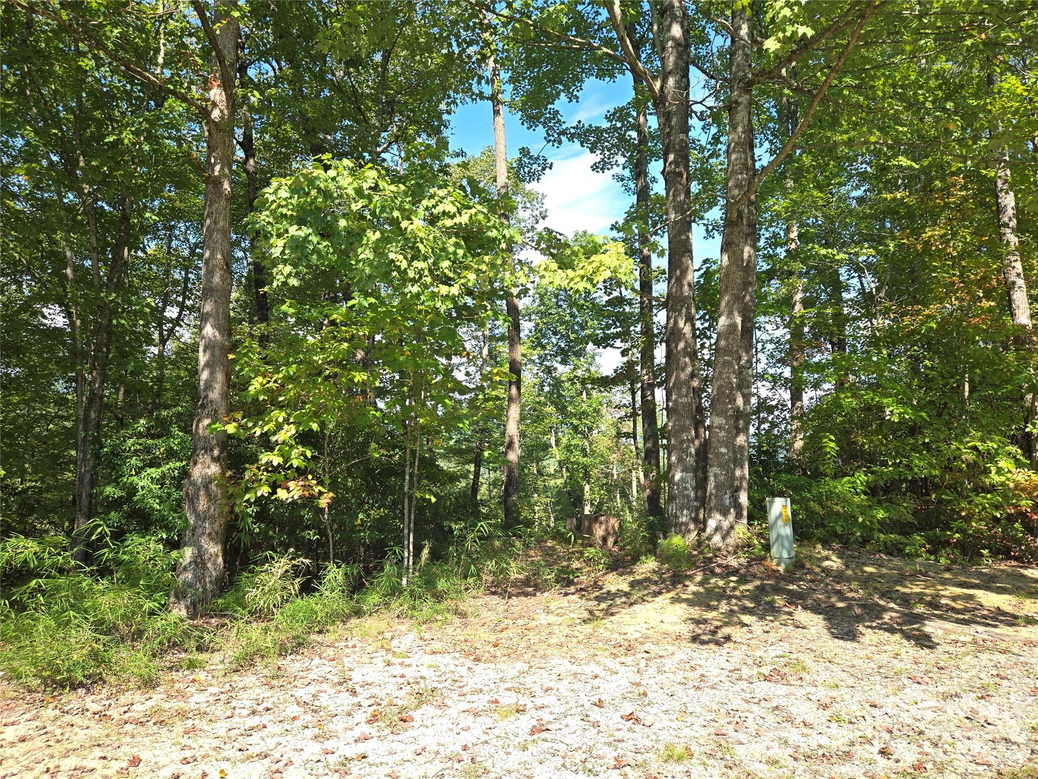 303 Ladd Ridge Rosman NC 28772