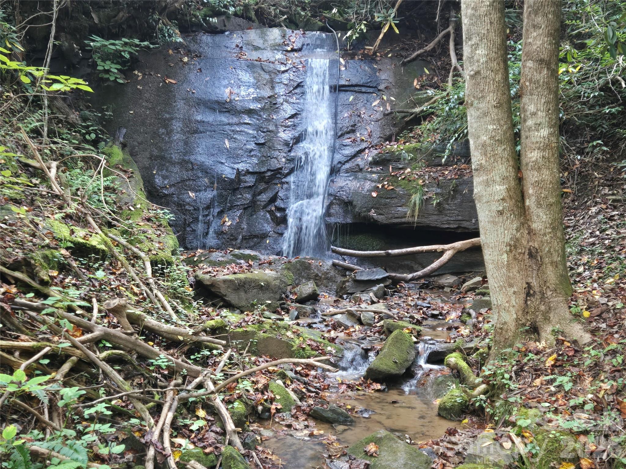303 Ladd Ridge Rosman NC 28772