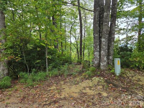 303 Ladd Ridge Rosman NC 28772