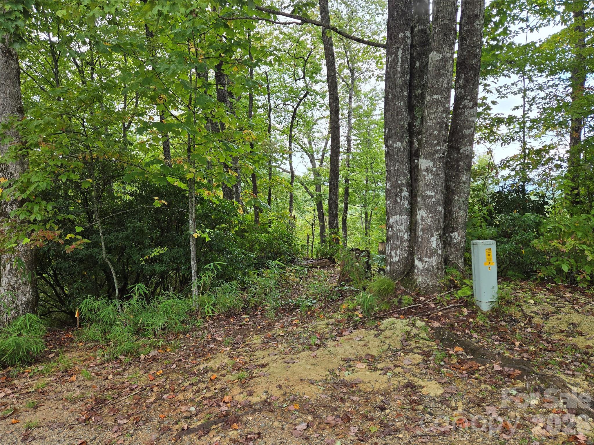 303 Ladd Ridge Rosman NC 28772