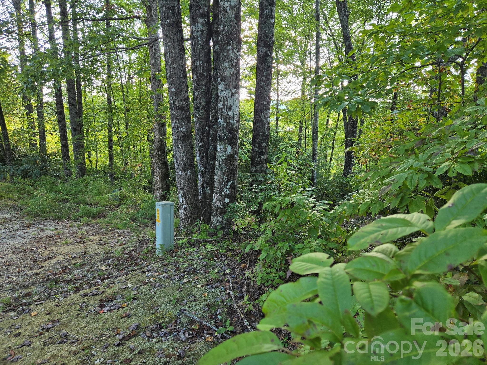303 Ladd Ridge Rosman NC 28772