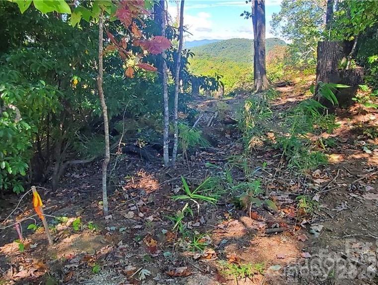 303 Ladd Ridge Rosman NC 28772