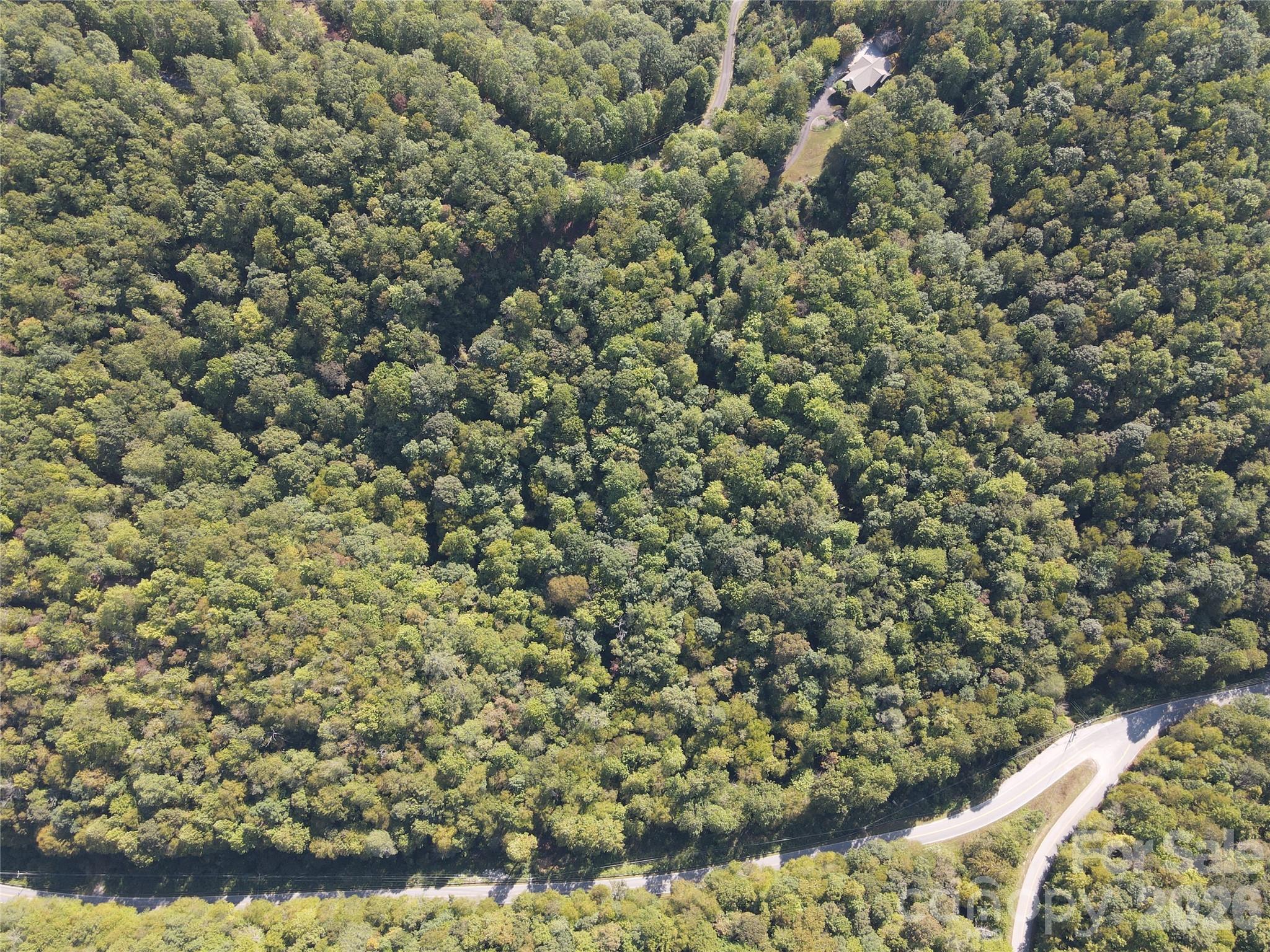 303 Ladd Ridge Rosman NC 28772