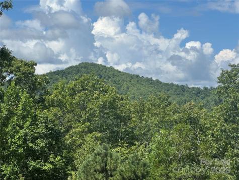 999 Ivy Lane Pisgah Forest NC 28768