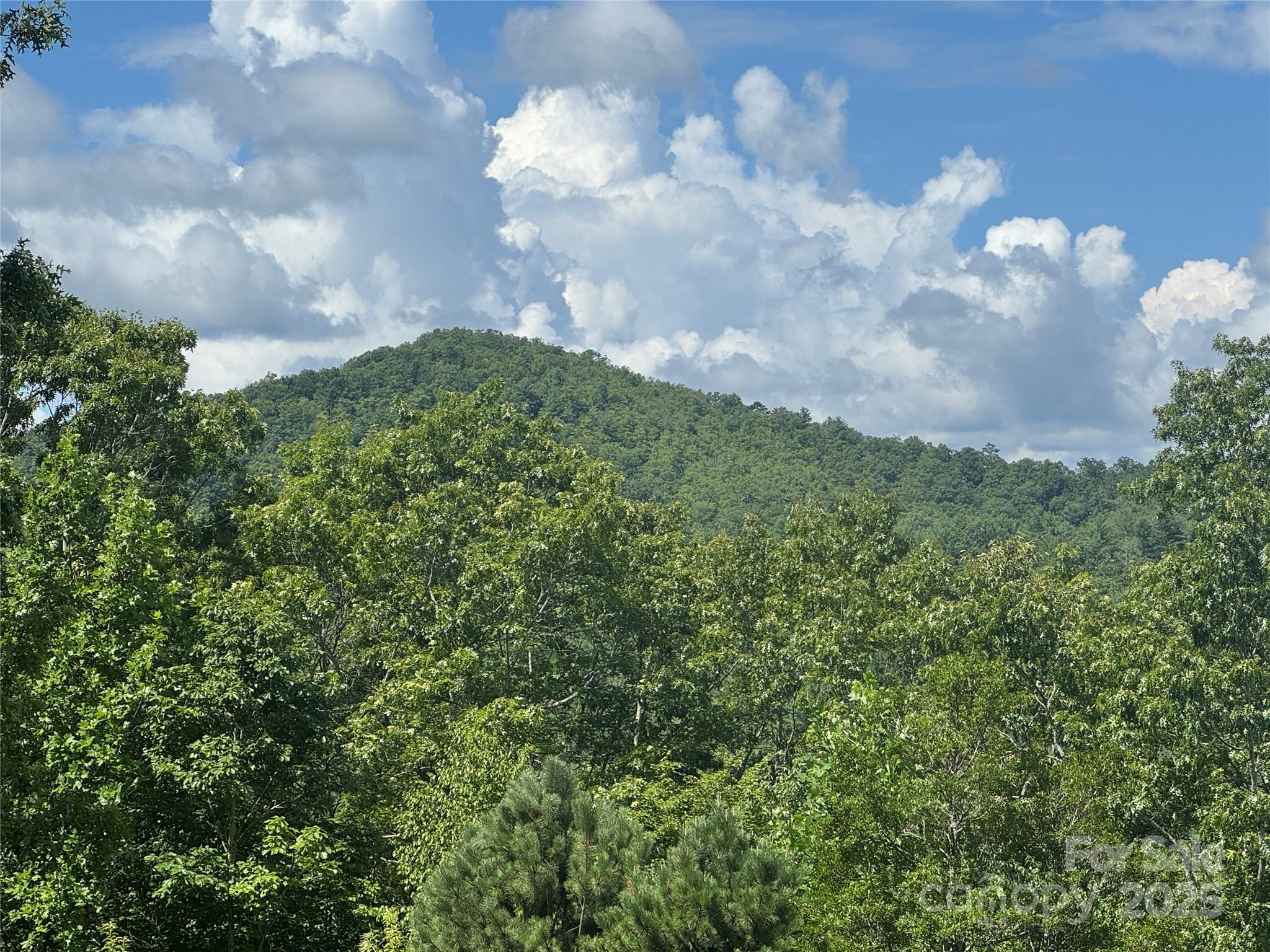 999 Ivy Lane Pisgah Forest NC 28768