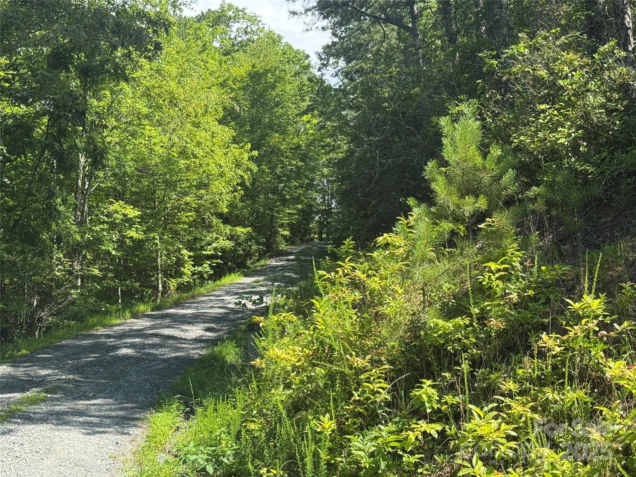 999 Ivy Lane Pisgah Forest NC 28768